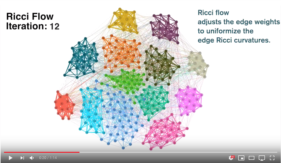 Ricci community